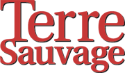 logo TS